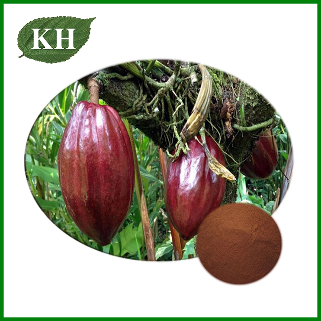 Cocoa Seed Extract Cocoa Seed Extract